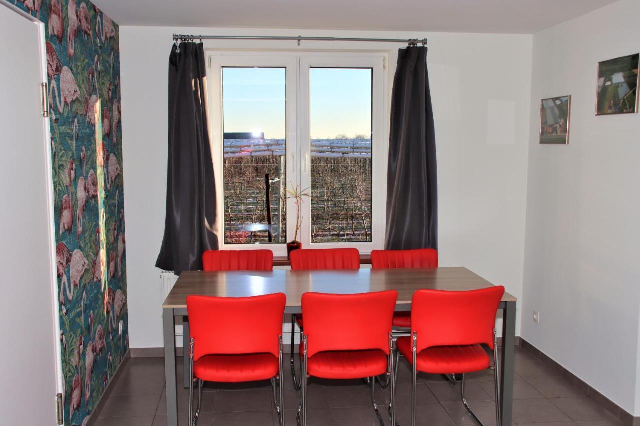 Apartament Juwel Fruithof Zepperen Zewnętrze zdjęcie