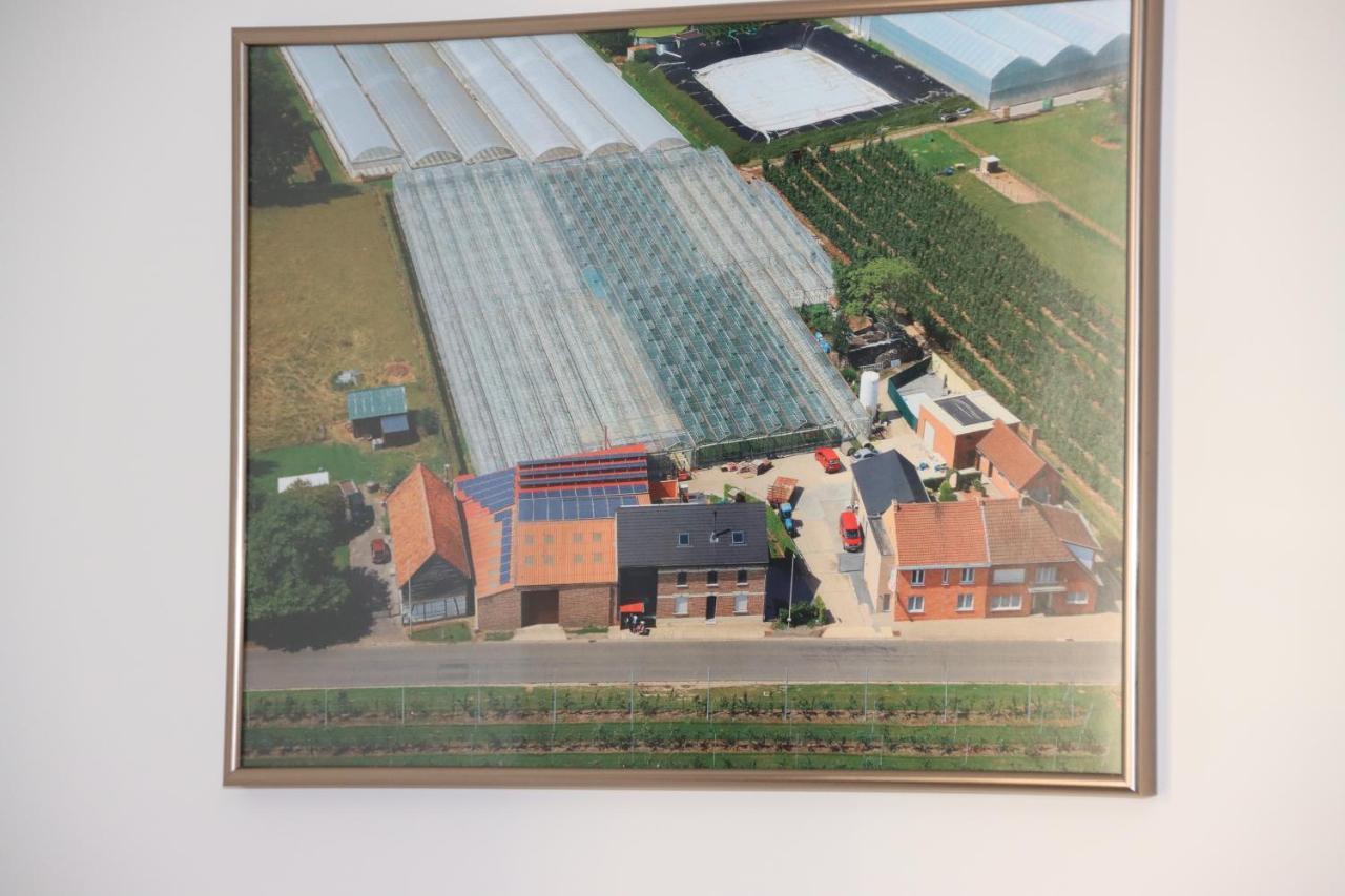 Apartament Juwel Fruithof Zepperen Zewnętrze zdjęcie